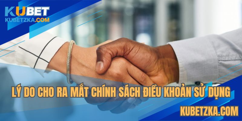 Tầm quan trọng khi cho ra mắt chính sách điều khoản sử dụng